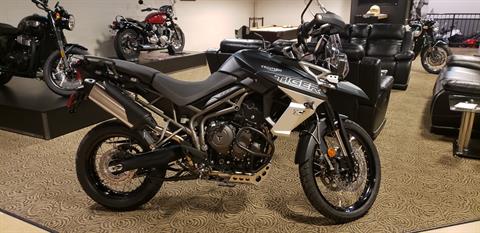 2019 Triumph Tiger 800 XCa in Shelby Township, Michigan
