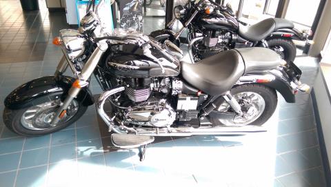 2015 Triumph America in Shelby Township, Michigan