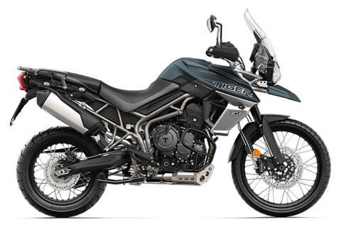 2019 Triumph Tiger 800 XCa in Shelby Township, Michigan