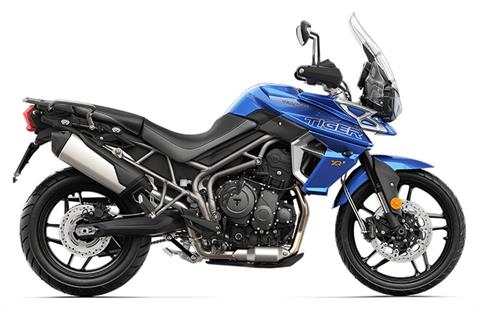 2019 Triumph Tiger 800 XRx Low in Shelby Township, Michigan