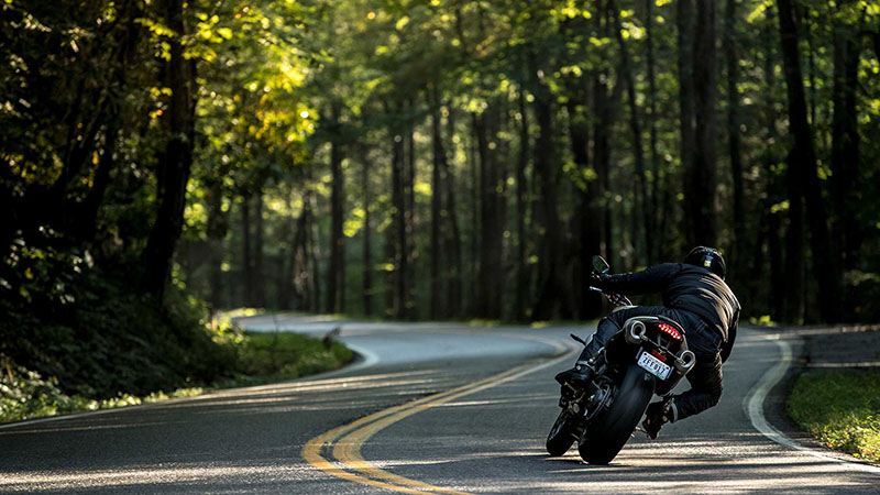 2019 Triumph Speed Triple S in Shelby Township, Michigan - Photo 4