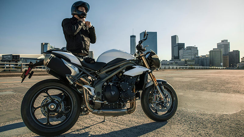 2019 Triumph Speed Triple S in Shelby Township, Michigan - Photo 5