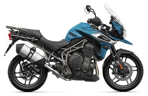 2019 Triumph Tiger 1200 XRx Low in Shelby Township, Michigan