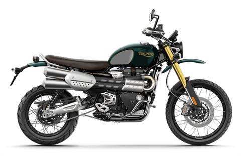 2022 Triumph Scrambler 1200 Steve Mcqueen Edition in Shelby Township, Michigan