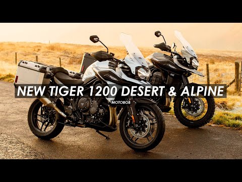 2020 Triumph Tiger 1200 Desert Edition in Shelby Township, Michigan - Video 1