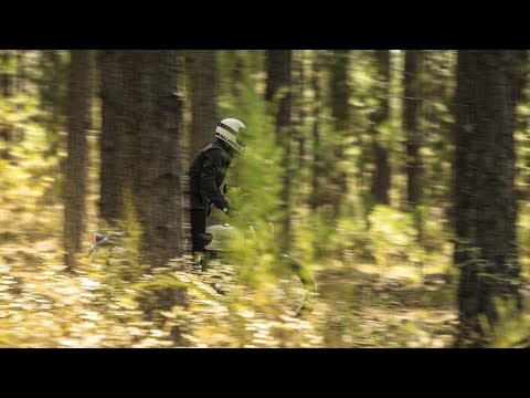 2020 Triumph Street Scrambler 900 in Shelby Township, Michigan - Video 1